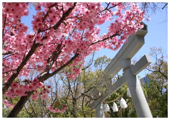 都会に広がる緑の神域